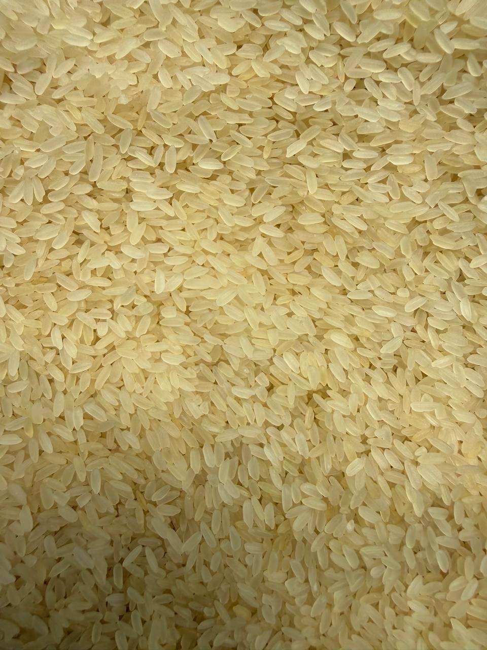 Boiled Sarna Rice